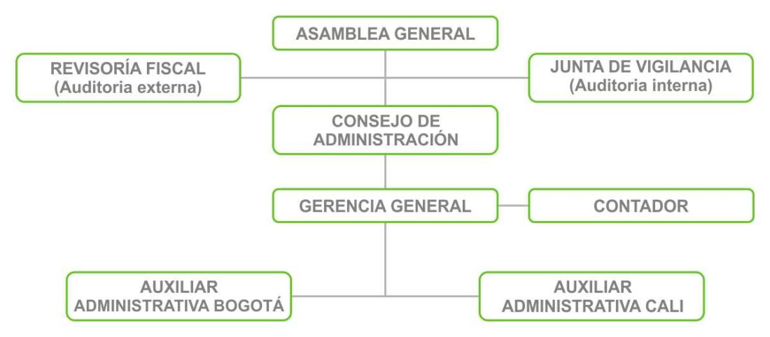 Organigrama_Counicoc